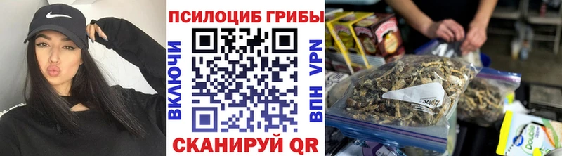 Галлюциногенные грибы Cubensis  Мышкин 